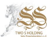 Two S Holding logo